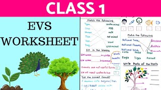 Class 1 EVS Worksheet  EVS Worksheet For Class 1  Class 1 EVS [upl. by Llerral]