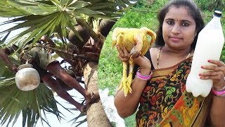 Toddy Palm Neera Wine SAP Liquor Chicken Curry Cooking In My Village  THAATI KALLU Chicken Recipe [upl. by Liddle310]