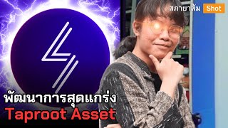 Taproot Asset และอนาคตของบิตคอยน์ [upl. by Makell49]