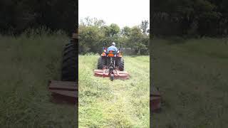 TYM bush hogging farmsteading smallfamilyfarm homesteading [upl. by Enaywd9]