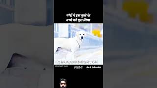 dog movie amazingfacts story shortsfeed 🐕 [upl. by Jacklyn]