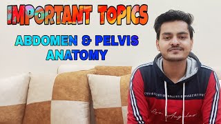 Important Topics l Abdomen And Pelvis Anatomy [upl. by Lymann]