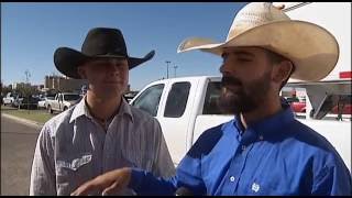 TEXAS TECH RANGE HORSE TEAM HELPS CATCH ESCAPED COWS [upl. by Ezitram]