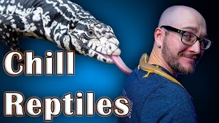 Top 5 Chill Easy Handling Reptiles [upl. by Atika520]