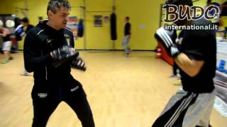 Boxe Grugliasco  Maurizio Lovaglio  Training ai guanti da passata adidas  Budo International [upl. by Ysle]