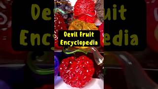 Devil Fruit Encyclopedia  Barrier Barrier Fruit  One Piece Devil Fruit summerloadingwithyoutube [upl. by Dong]