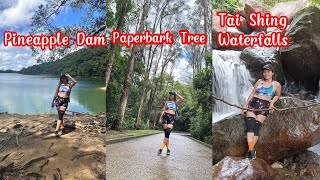 PINEAPPLE DAM TO PAPERBARK TREE TO TAI SHING WATERFALLS indaydina stream hongkong taishing [upl. by Einahpetse]