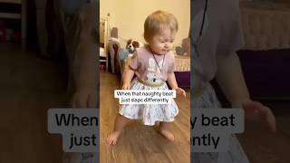 This kid’s a natural 🤩 electronicmusic remix music dj edm steveaoki dimitrivegas [upl. by Haianeb]