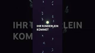 Ihr Kinderlein kommet 🎶 Murmelmusik Deutsch marblemusic musicball weihnachten asmr satisfying [upl. by Nocaed943]