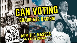 CAN VOTING ERADICATE RACISM w PROFESSOR GRIFF [upl. by Ertemed18]