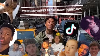 YoungBoy Never Broke Again  FREEDDAWG  TikTok Compliation [upl. by Immot491]