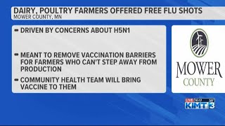 Mower County offering free flu shots to dairy and poultry farmers [upl. by Annohsal136]