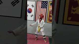 Taekwondo Sparring Practice  taekwondo martialarts karate ytshorts [upl. by Annabella]