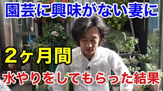 いつも水やりありがとうございます。残念ながら伝えたい事がございます。 【園芸超人カーメン君】 [upl. by Puttergill870]