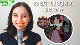 Once Upon A Dream Auroras Part Only  Karaoke  Sleeping Beauty [upl. by Aihseyn655]