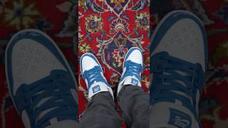 REVIEWING THE BORN X RAISED NIKE SB DUNK LOW SNEAKERS IN UNDER 60 SECONDS [upl. by Dolora]