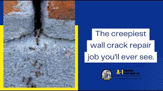 The creepiest wall crack repair job youll ever see [upl. by Aenert]