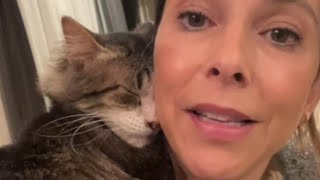 Scared cat melts when woman shows him love [upl. by Gnilhsa]