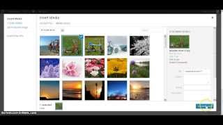 How to Create Grid Gallery with Pagination [upl. by Nageam]