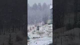 Fresh snowfall Winter Park Colorado chill music snow [upl. by Dranik]