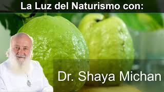 Licuado de NOPAL Y XOCONOSTLE para que sirve y Como se Hace │Guru Shaya Michan [upl. by Dulcinea]