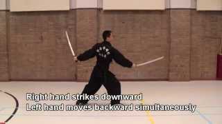 How to wield double swordsSsanggeom 1 쌍검 머리치기 Twin Swords Head Strike double swords [upl. by Hugues32]