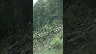 Storm damage in bland county va [upl. by Melborn]