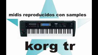 terrenal julion alvarez midi korg con sampleswmv [upl. by Ayila625]