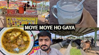 Moye Moye Ho Gaya  Sunday Vibes  PreMandi Visit  Sheikhupura Mandi  Daily Vlogs  Shazytales [upl. by Zsamot898]