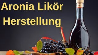 ⭐⭐ Aronia Likör selber herstellen  schnelles Aronia Likör Rezept ⭐⭐ [upl. by Tina]