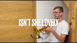 Isnt She Lovely Stevie Wonder  Trumpet Cover [upl. by Bellda]