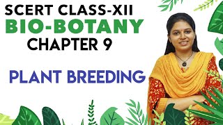 SCERT class 12  Botany chapter 9  Plant breeding  Tamil [upl. by Eirrok]