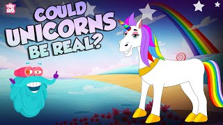 Are Unicorns Real  One Horn Horse Mystery  Did Unicorns Ever Exist  The Dr Binocs Show [upl. by Edwina]