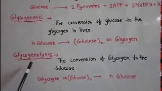 Metabolism of carbohydrate part 1 [upl. by Amling]