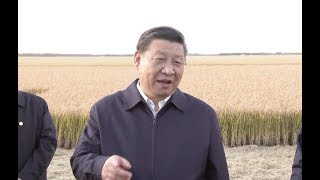 Chinese President Xi Jinping Inspects the Seven Stars Farm in China’s Heilongjiang Province [upl. by Ephrem146]