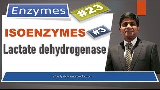 Lactate dehydrogenase Isoenzymes Diagnostic important enzymes [upl. by Avilla134]