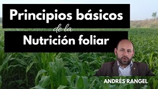 Principios Básicos de la nutrición Foliar [upl. by Enoved]