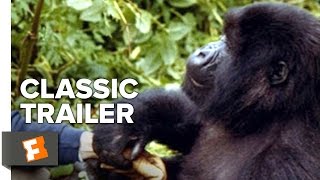 Gorillas in the Mist The Story of Dian Fossey 1988 HD [upl. by Kalinda975]