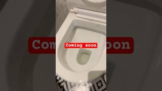 Heritej look bathroom bathroomfittings toilet washroom plumbing plumber home homedecor [upl. by Megen709]