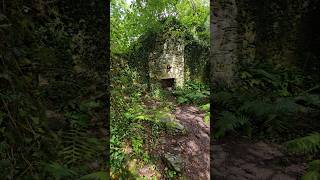 Ruined house beside Rowchoish bothy Scotland westhighlandway hiking scotland [upl. by Erdnoid]