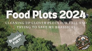 Food Plot Chores August 2024 [upl. by Ynahpets]