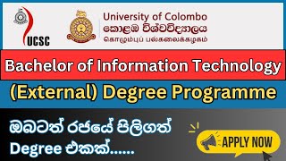 Information Technology Degree in Colombo University I රජයේ විශ්ව විද්‍යාලයක උපාධියක් [upl. by Afinom]