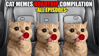 Cat MEMES Roadtrip Compilation Full 1 Hour [upl. by Gerk245]