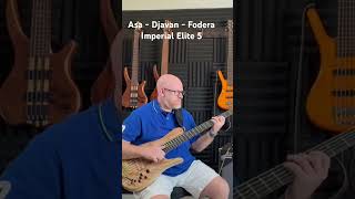 Jamming Djavans Asa on My Fodera Imperial Elite 5 – Smooth Bass Groove [upl. by Mcdermott]