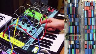 WISE 15067027  Moog Grandmother Solo [upl. by Neleb]