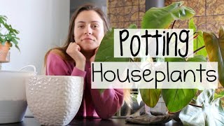 Houseplant Haul amp Repotting Repotting Indoor Plants amp Pottery Haul [upl. by Zetrok]