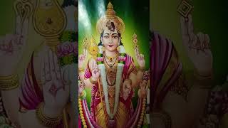 Sevvai viratham statusamman hindudevotionalsongs trendingshorts [upl. by Dam861]