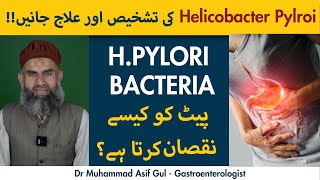 What is Helicobacter Pylori  Gastric ulcer  Causes  Signs and Symptoms of H Pylori [upl. by Chilson]