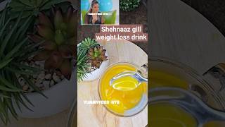 Shehnaaz Gills Turmeric water for Weight Loss shortsturmeric watershehnaazgill [upl. by Leumel294]