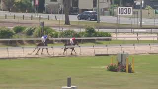 Gympie 20240921 Race 1 [upl. by Eleinad]